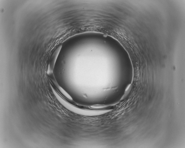 X0000086971109200704231508