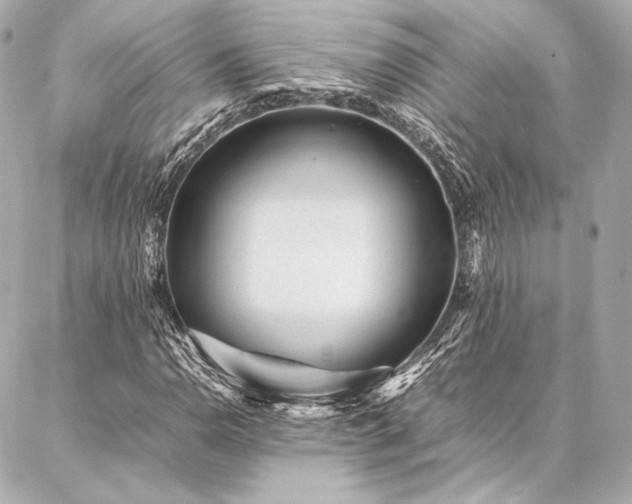 X0000086971110200704231508