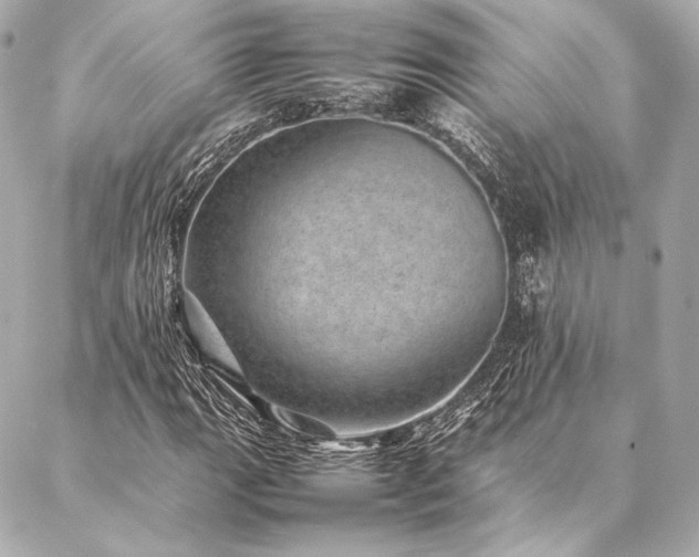 X0000086971111200704231508