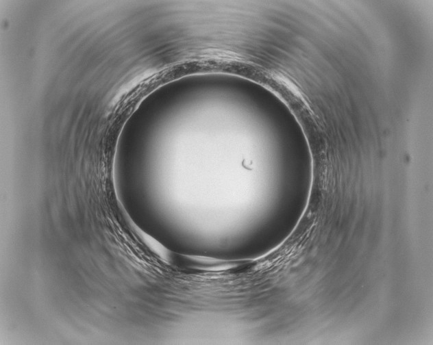 X0000086971112200704231508