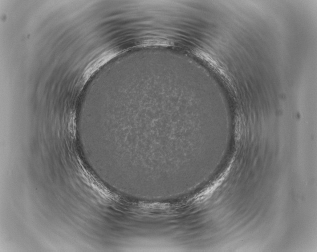 X0000086971113200704231508