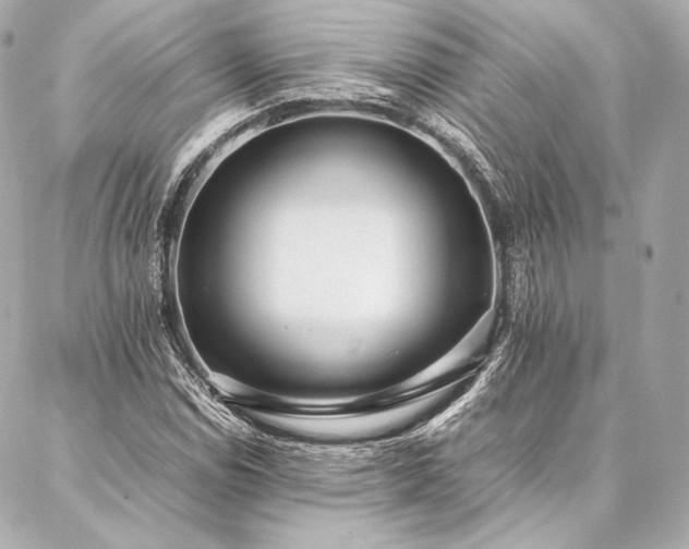 X0000086971114200704231508