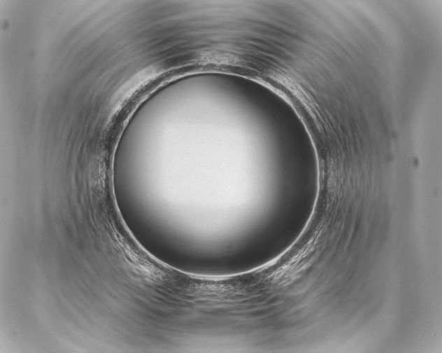 X0000086971115200704231508