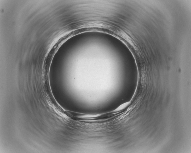 X0000086971116200704231508