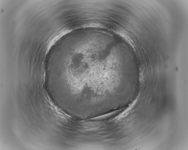 X0000086971117200704231508