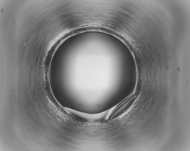 X0000086971118200704231509