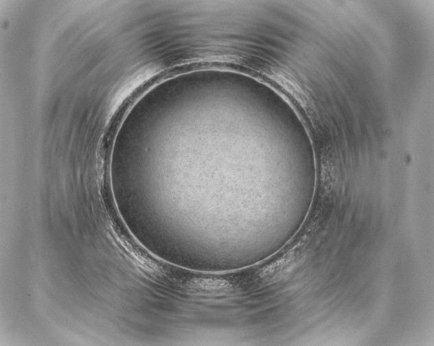 X0000086971119200704231509