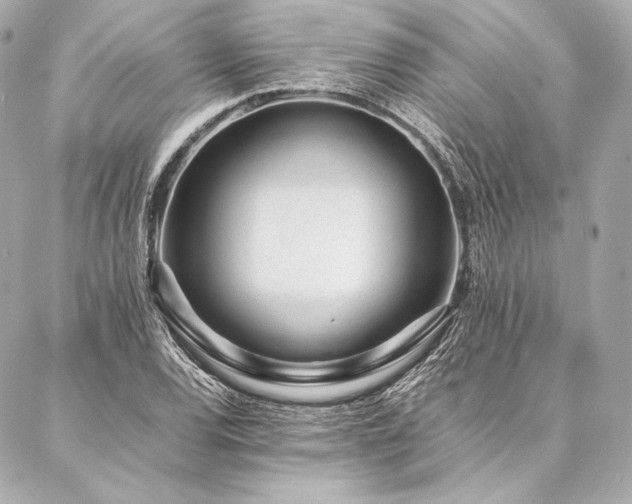 X0000086971120200704231509