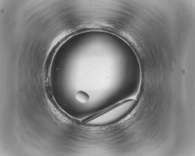 X0000086971122200704231509