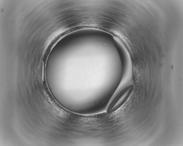 X0000086971123200704231509