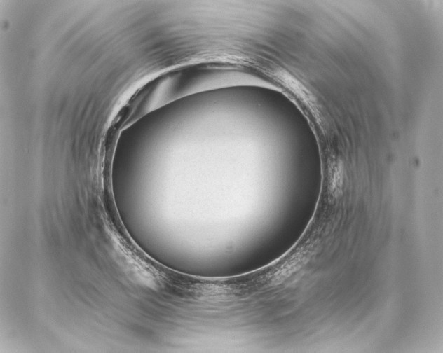 X0000086971124200704231509