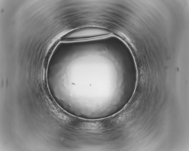 X0000086971125200704231509