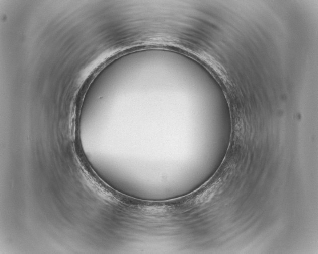 X0000086971126200704231509