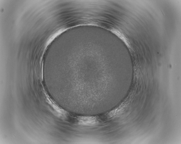 X0000086971127200704231509