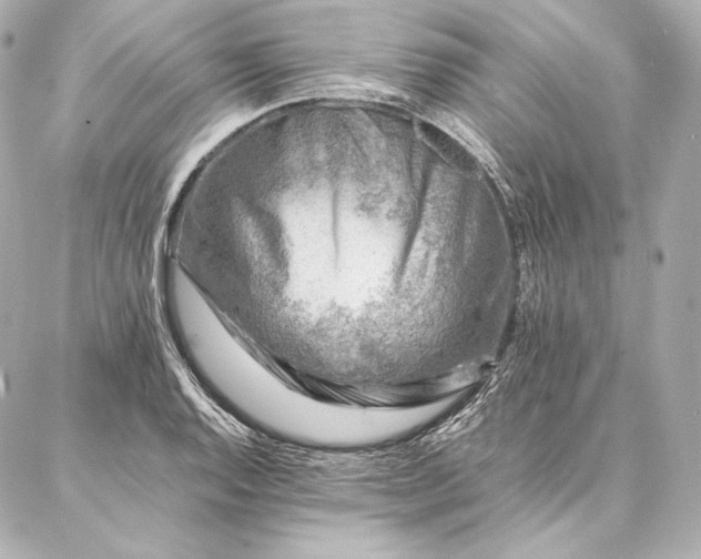 X0000086971128200704231509