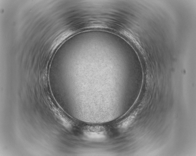 X0000086971129200704231509