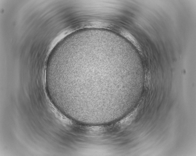 X0000086971130200704231509