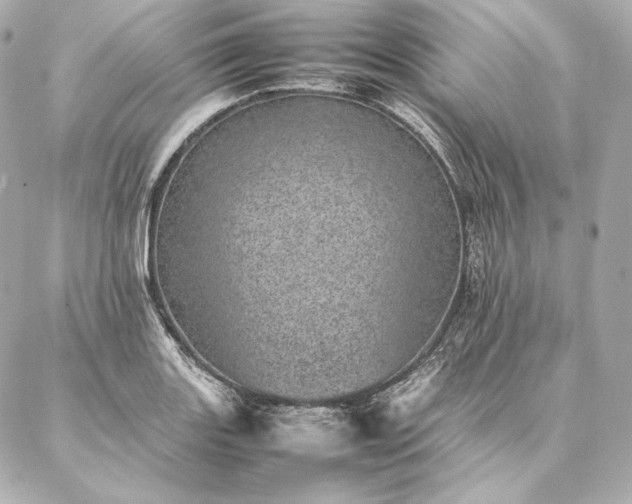 X0000086971131200704231509