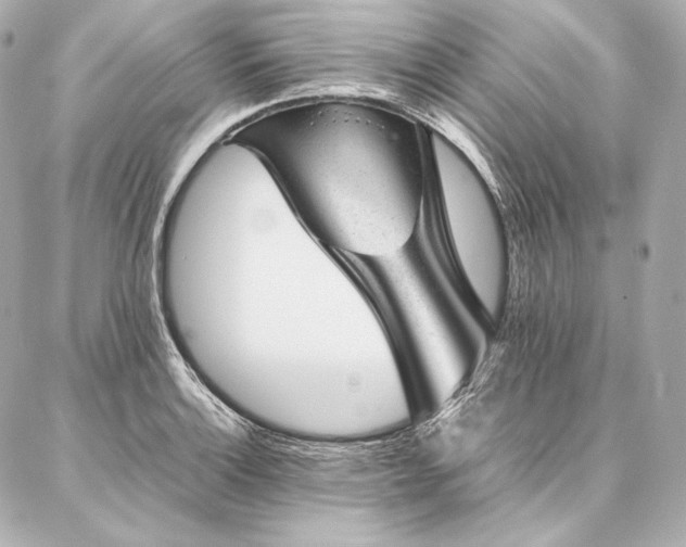 X0000086971132200704231509