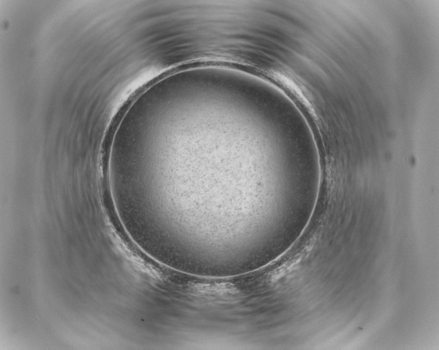 X0000086971133200704231509