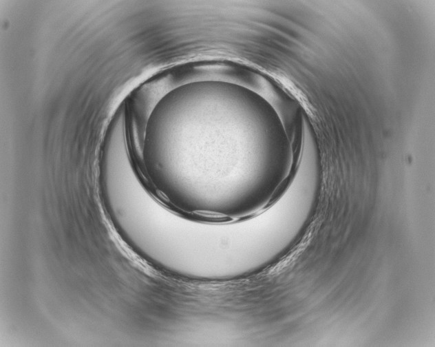 X0000086971134200704231509