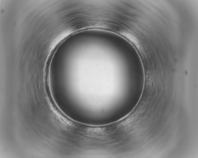 X0000086971135200704231509