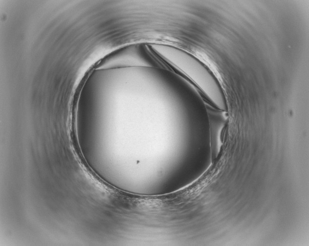 X0000086971136200704231509