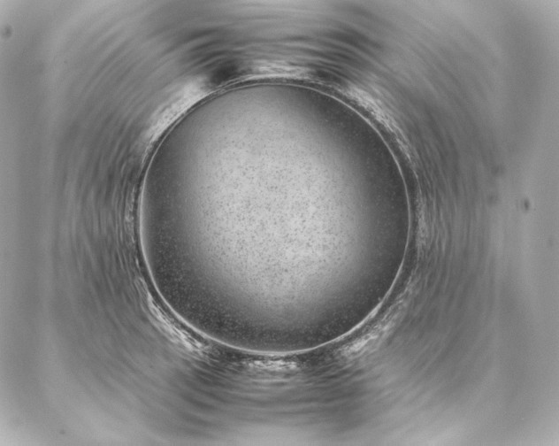 X0000086971137200704231509