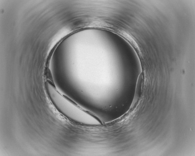 X0000086971138200704231509