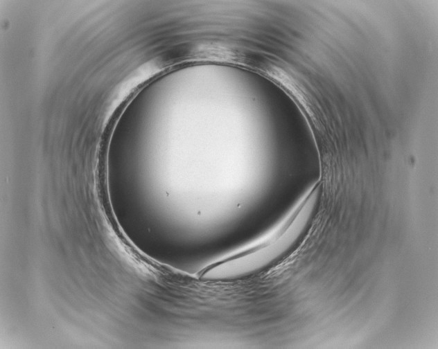 X0000086971139200704231509