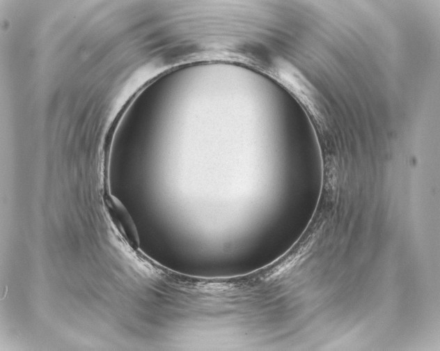 X0000086971140200704231509