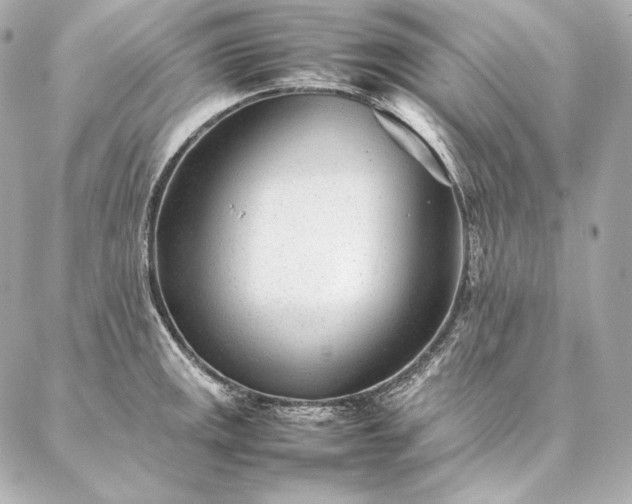 X0000086971141200704231509