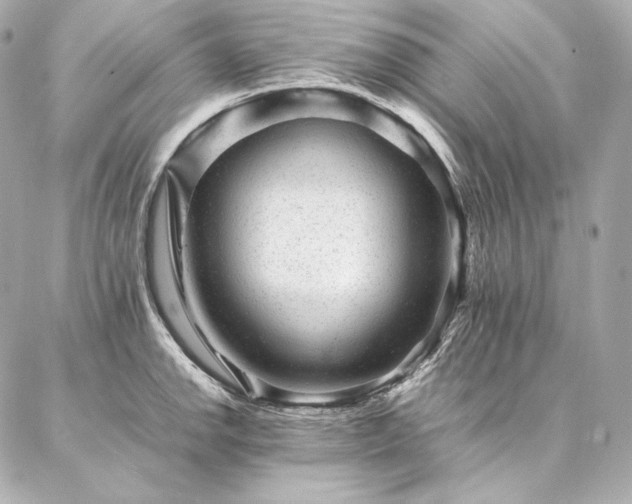 X0000086971142200704231509