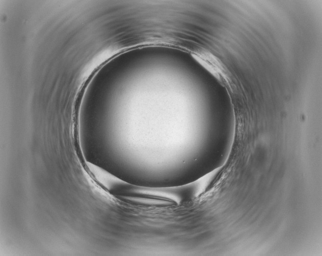 X0000086971143200704231509