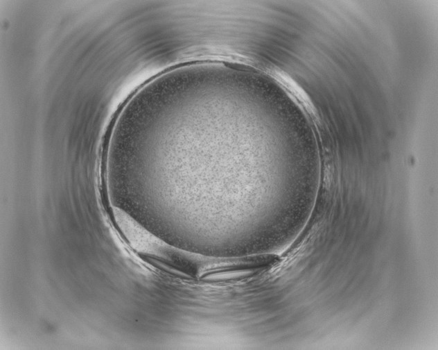 X0000086971144200704231509