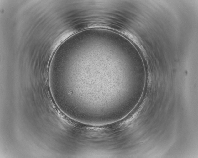 X0000086971145200704231509