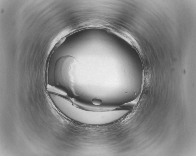 X0000086971146200704231509