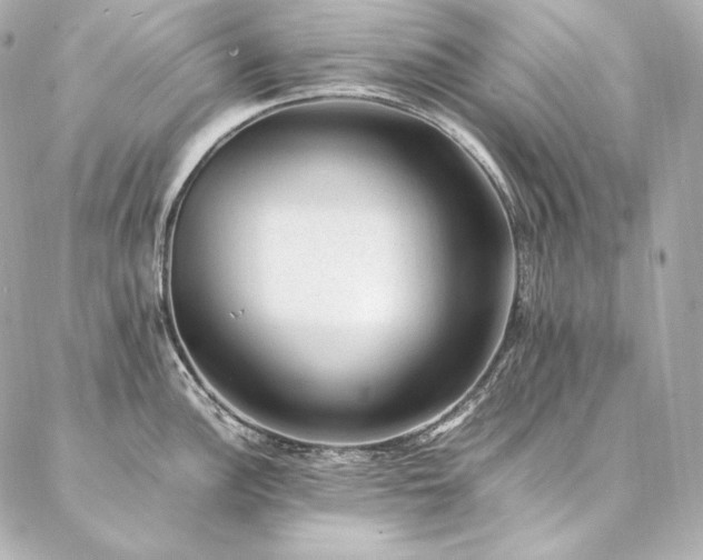 X0000086971148200704231509