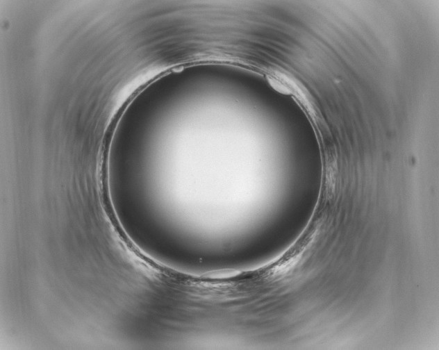 X0000086971149200704231509