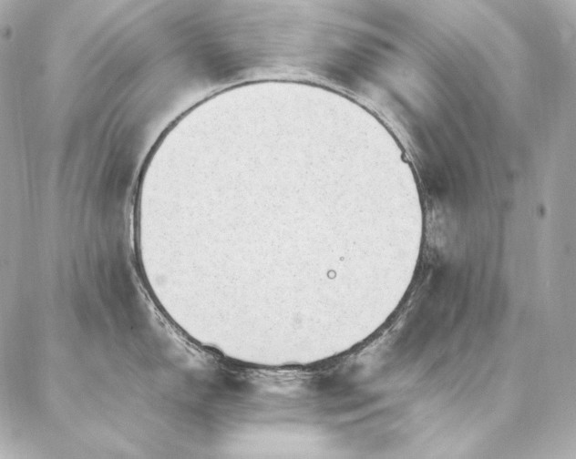 X0000086971150200704231509