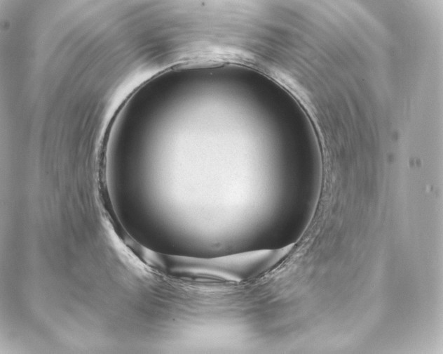 X0000086971152200704231509