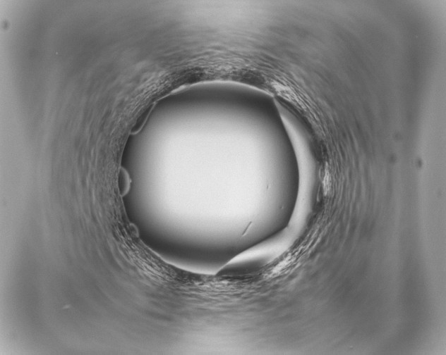 X0000086971153200704231508