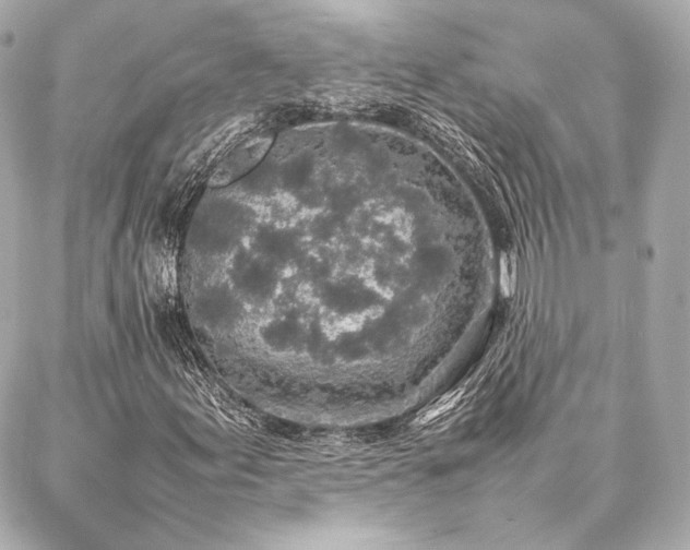 X0000086971155200704231508