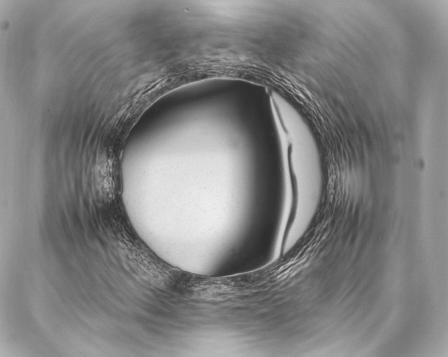 X0000086971156200704231508