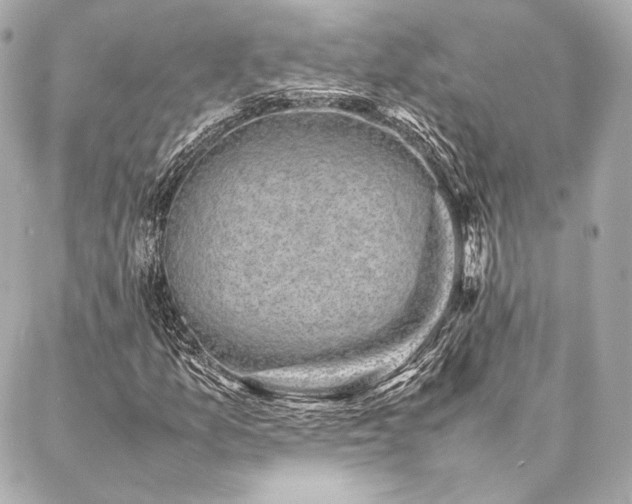 X0000086971157200704231508