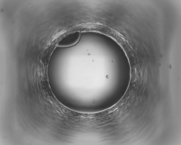 X0000086971158200704231508