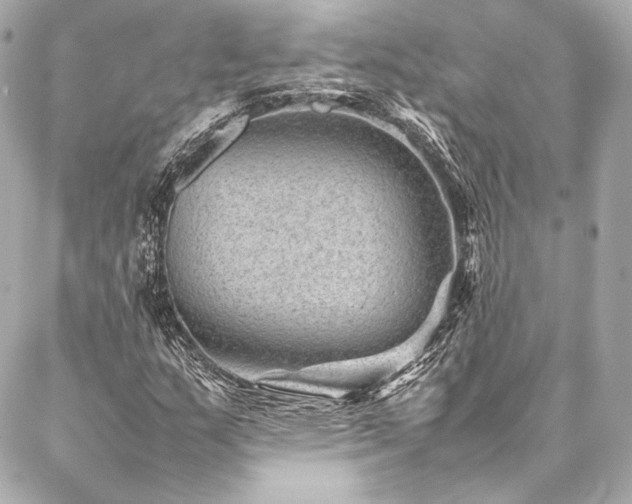 X0000086971159200704231508