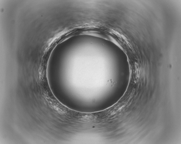 X0000086971160200704231508