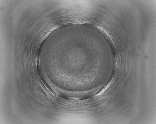 X0000086971161200704231508