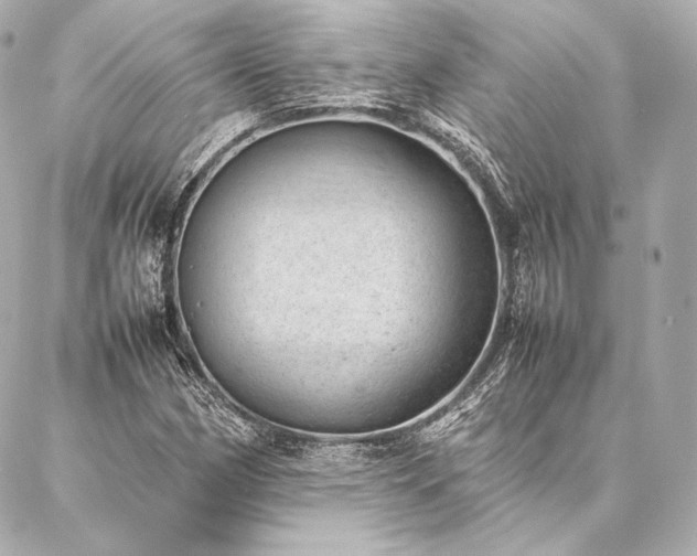 X0000086971162200704231508